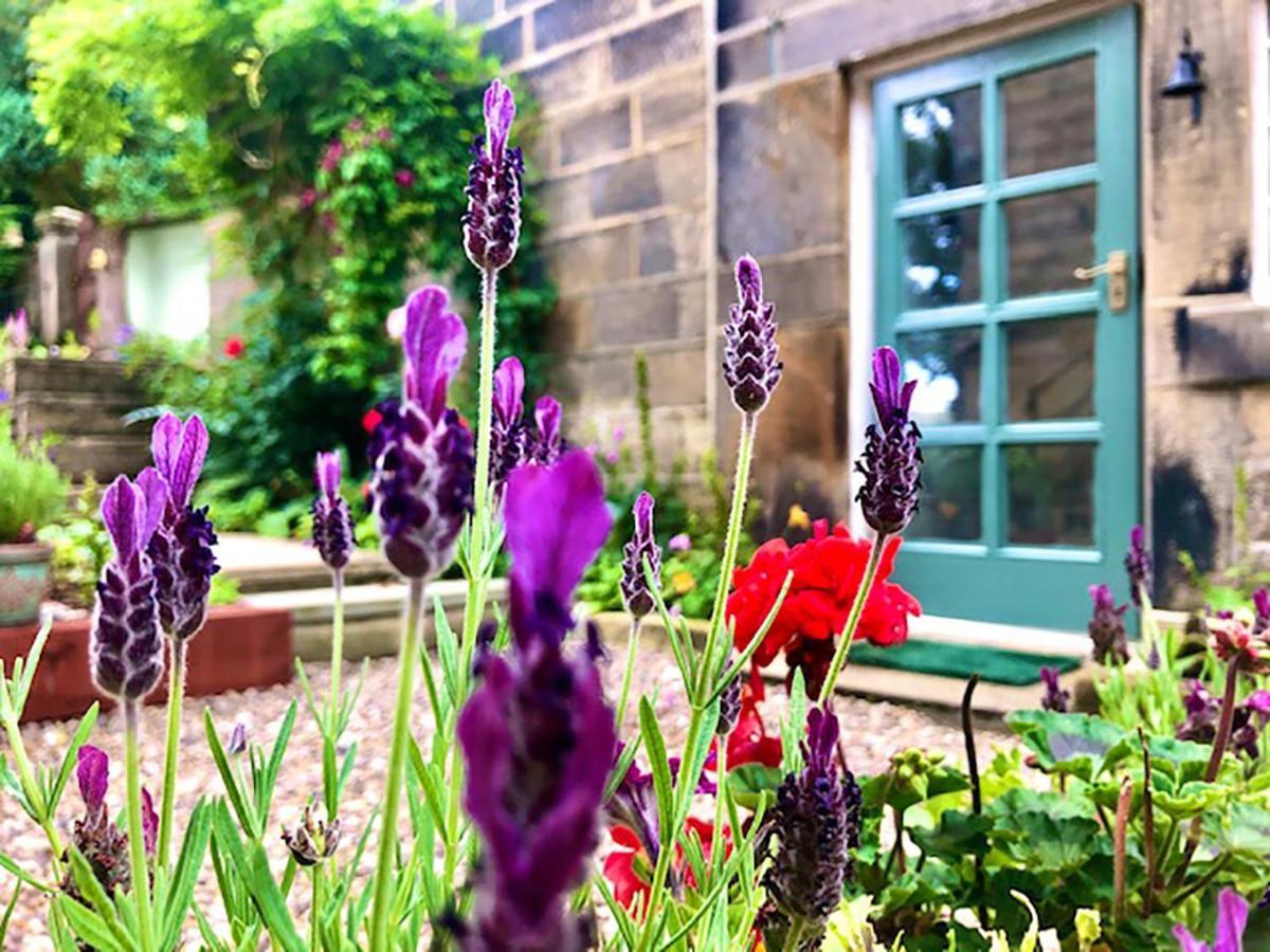 Ewood Cottage *New* Exquisite Country Cottage 托德莫登 外观 照片